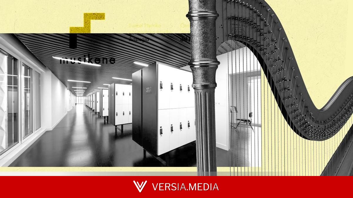 Los 11 testimonios de las vejaciones en las clases de arpa en Musikene y París: 