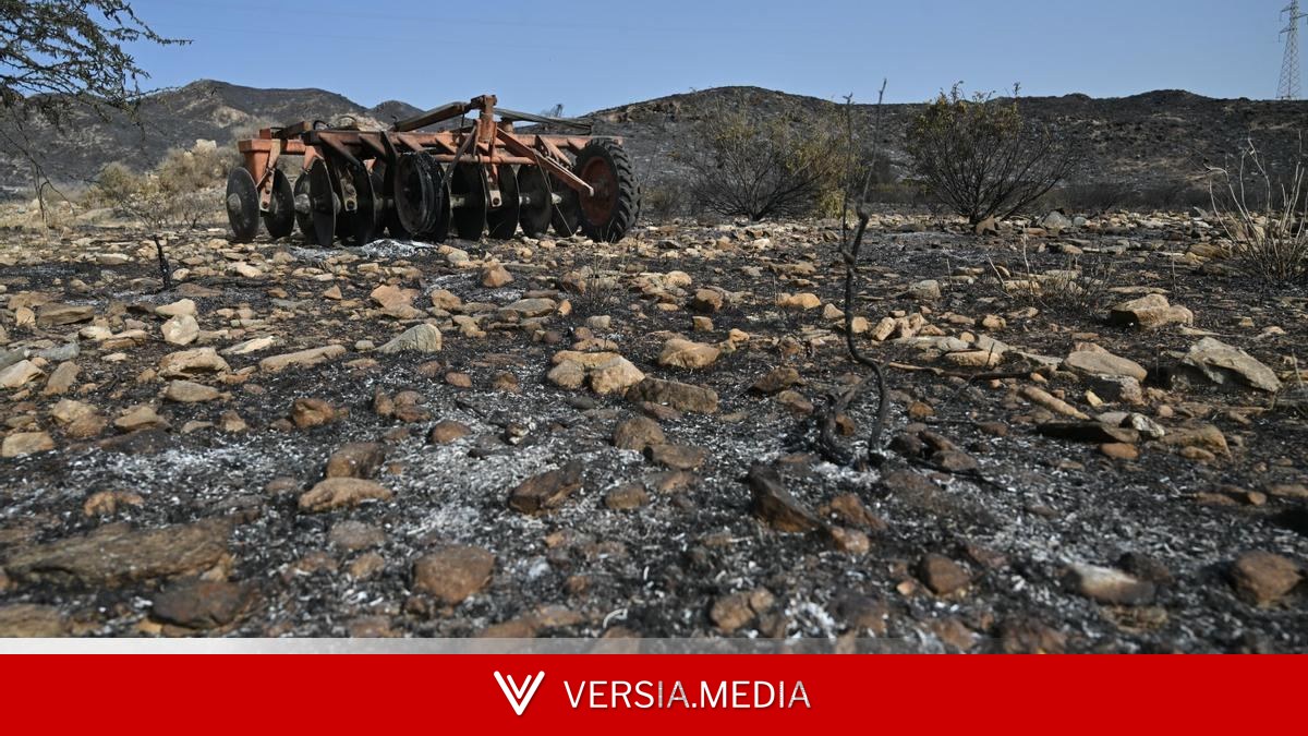 Última hora del incendio de Los Gallardos, en Almería: el fuego arrasa ya 6.600 hectáreas