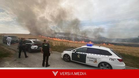 Cómo hay que actuar y cómo no ante un incendio forestal como el de Almería
