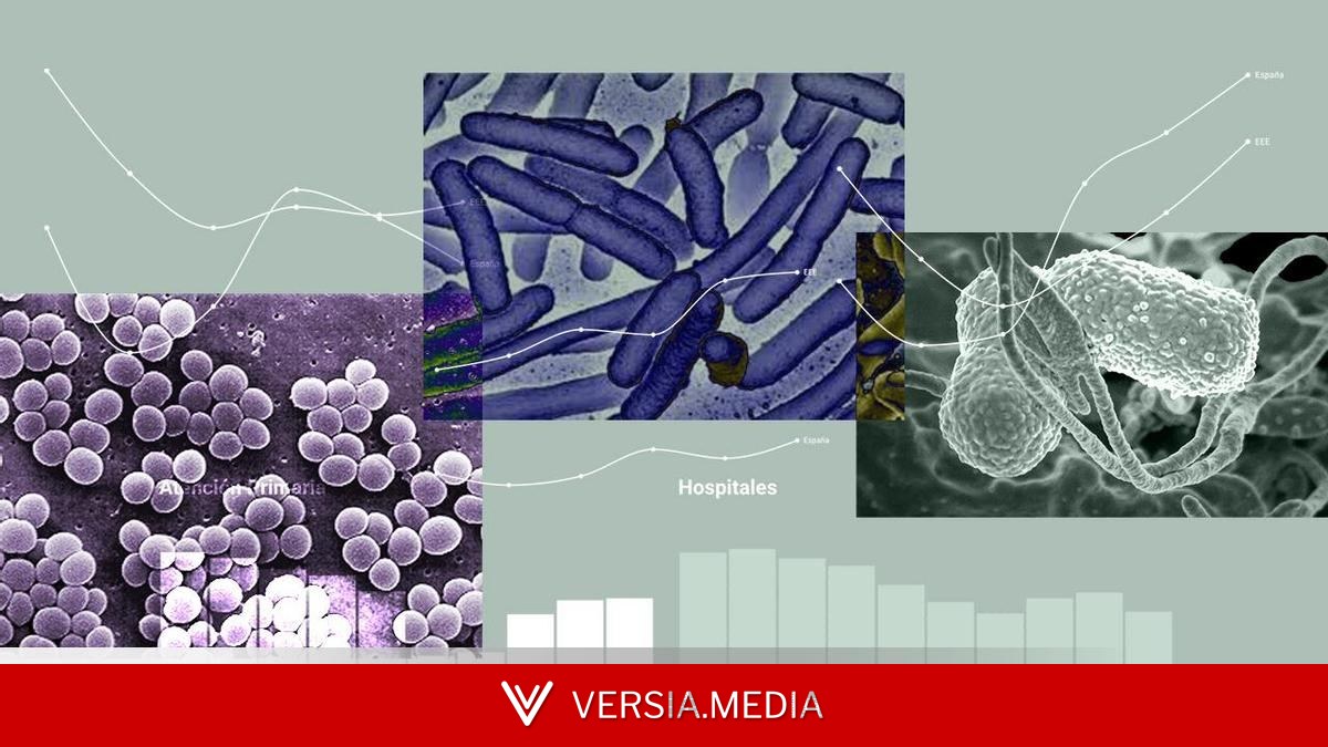 La larga carrera contra las bacterias resistentes a los antibióticos: 