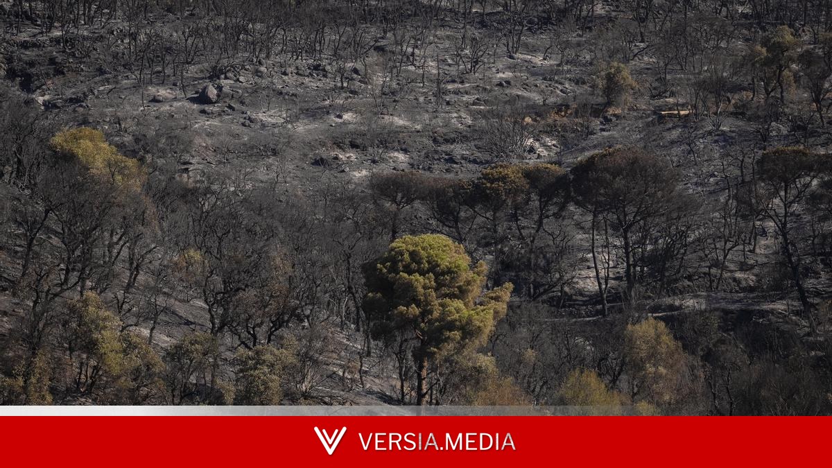 Illa señala la gestión forestal tras el incendio en Girona: 
