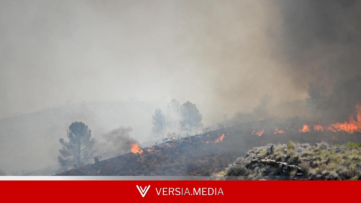 El calor extremo deja ya más de 30.000 hectáreas arrasadas, miles de evacuados y 12 muertos por los incendios en España