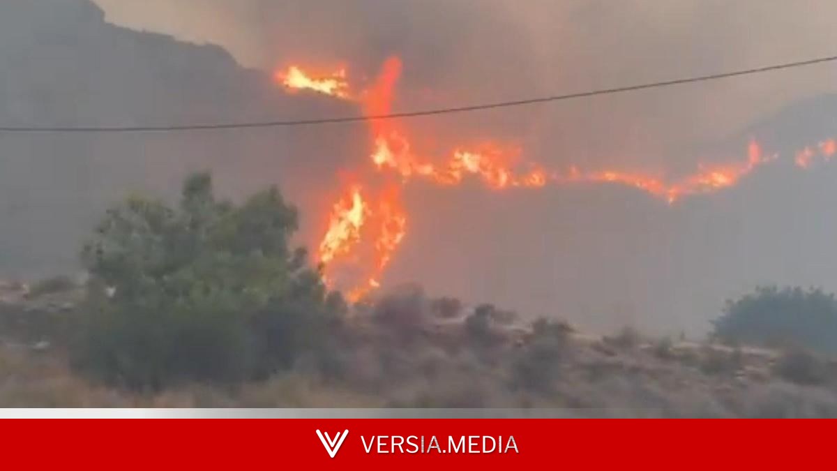 Claves del incendio de Almería: la caída de un poste eléctrico prende la chispa en un monte escarpado con cientos de casas aisladas