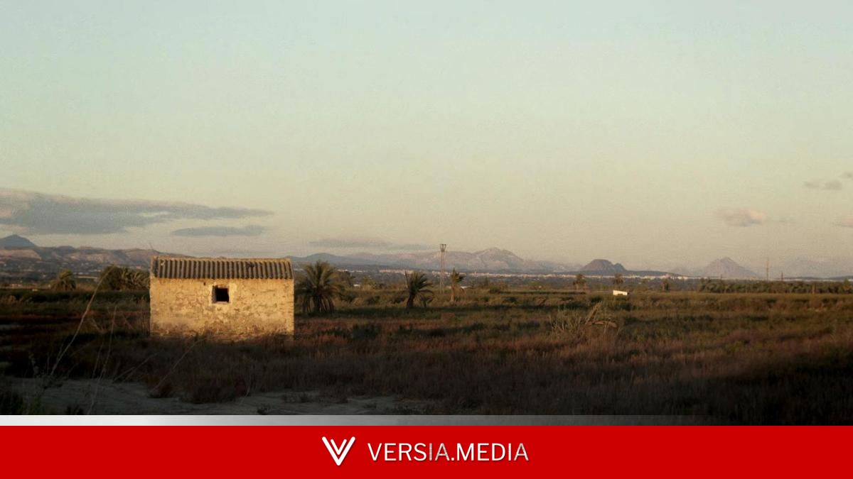 La película que habla de la amnesia de un país lleno de campos de concentración: 