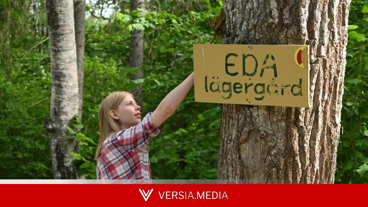 Ni McDonald's ni Burger King: jóvenes suecos cobran 3.600 euros en empleos de verano para restaurar la naturaleza