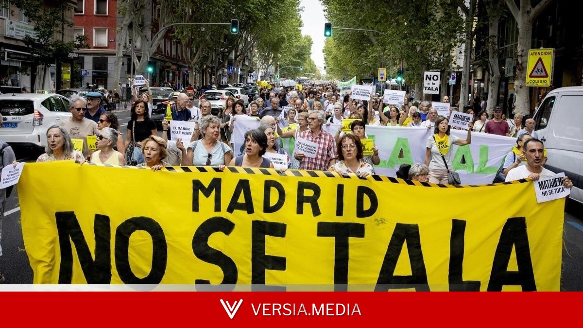 El Gobierno de Almeida 