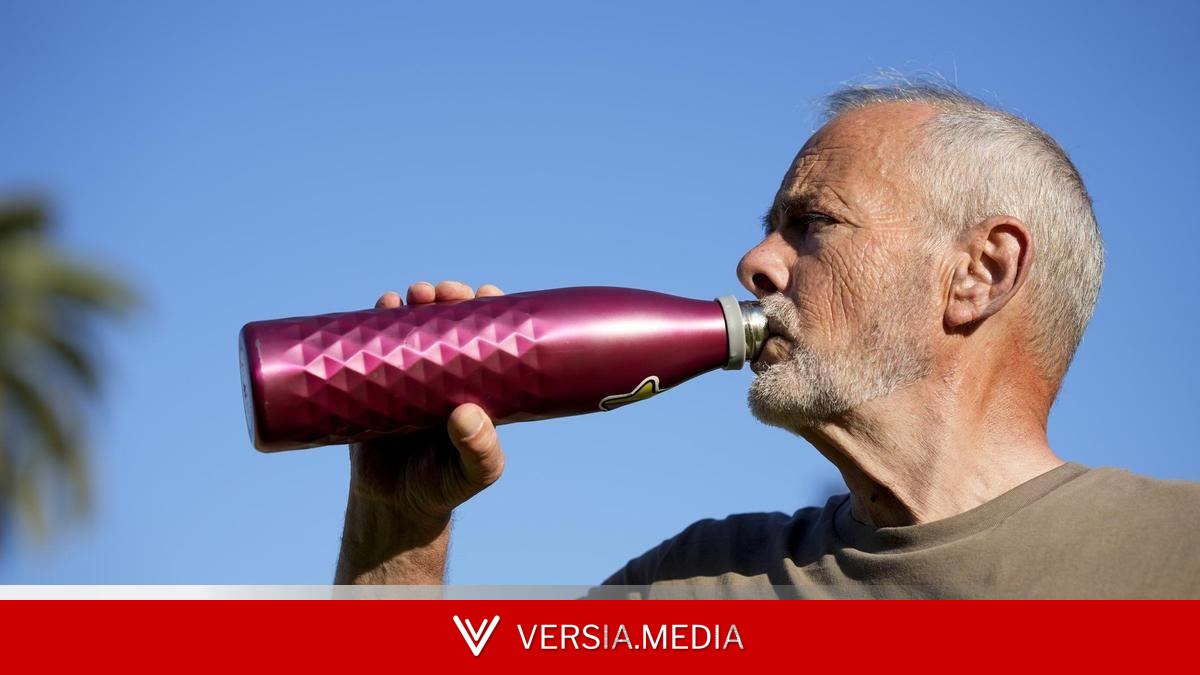 ¿Necesitas electrolitos? ¿El té refresca? ¿Es seguro beber cerveza? Cómo hidratarse durante una ola de calor