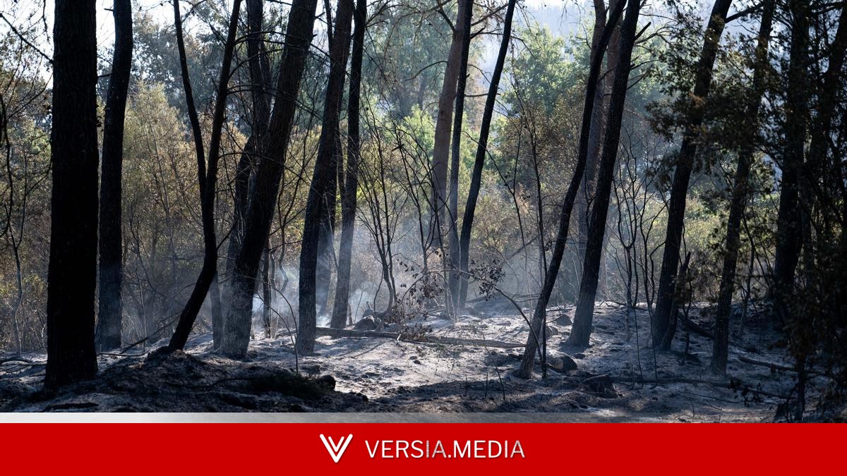 Última hora sobre los incendios en España: la UME interviene por el fuego en Castillonroy, en Huesca