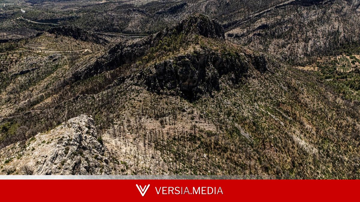 Las cicatrices del incendio del parque natural de Els Ports, un año después a vista de dron