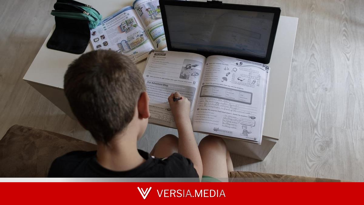 Educación 